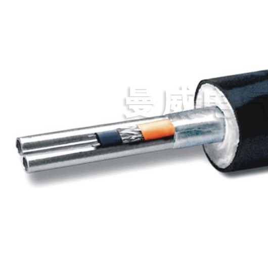耐酸耐碱石化专用采样伴热复合管HRFHT-D36-A1¢8b-O-O-C.jpg