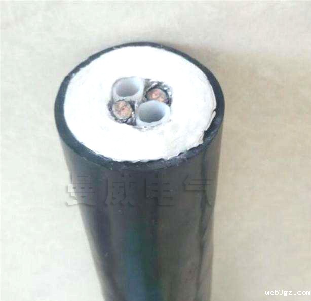 CEMS烟气在线采集复合管HRFHT-D36-A1¢8b-O-O-C.jpg