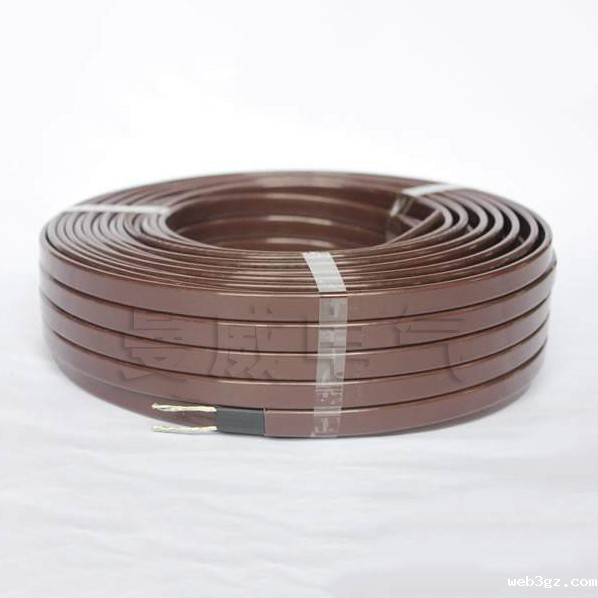 电伴热带 电伴热带